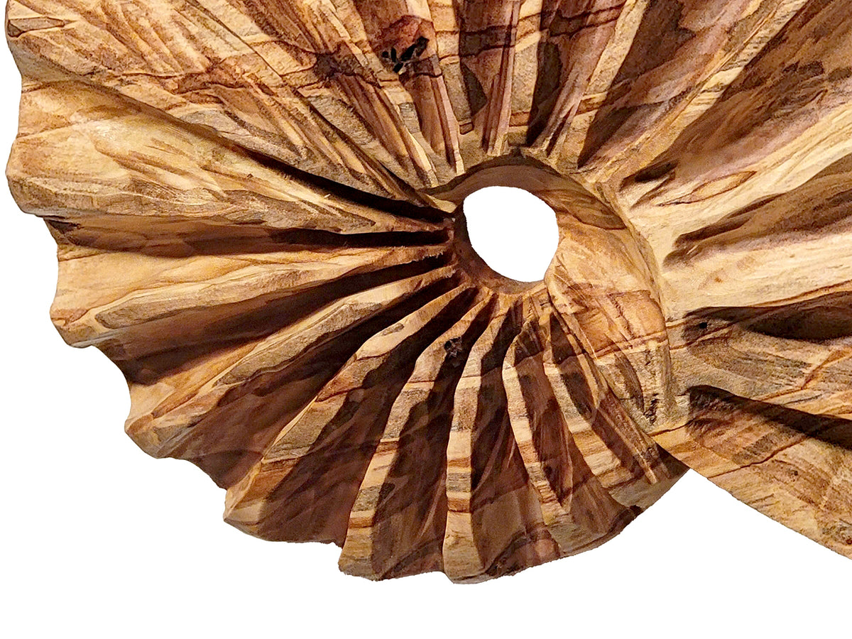 Wall Sculpture "Ambrosia Fibonacci Shell" by Andy DiPietro Martin