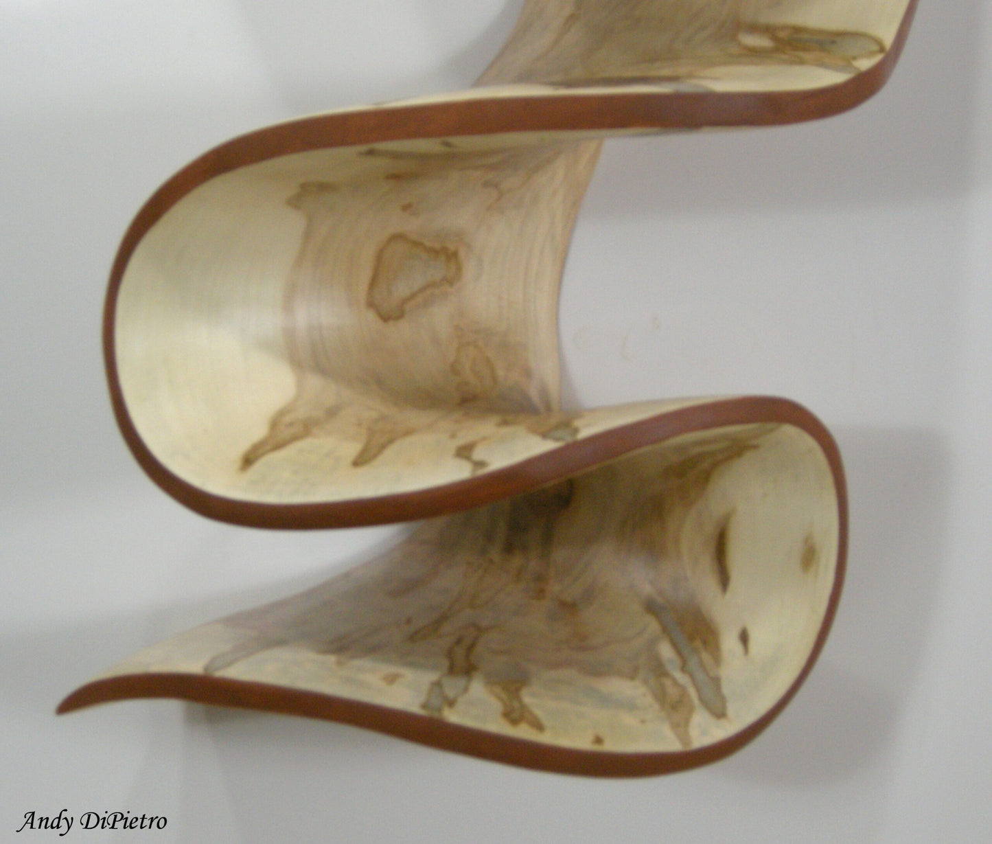 Escultura de pared "Concha de Fibonacci y Ambrosía" de Andy DiPietro