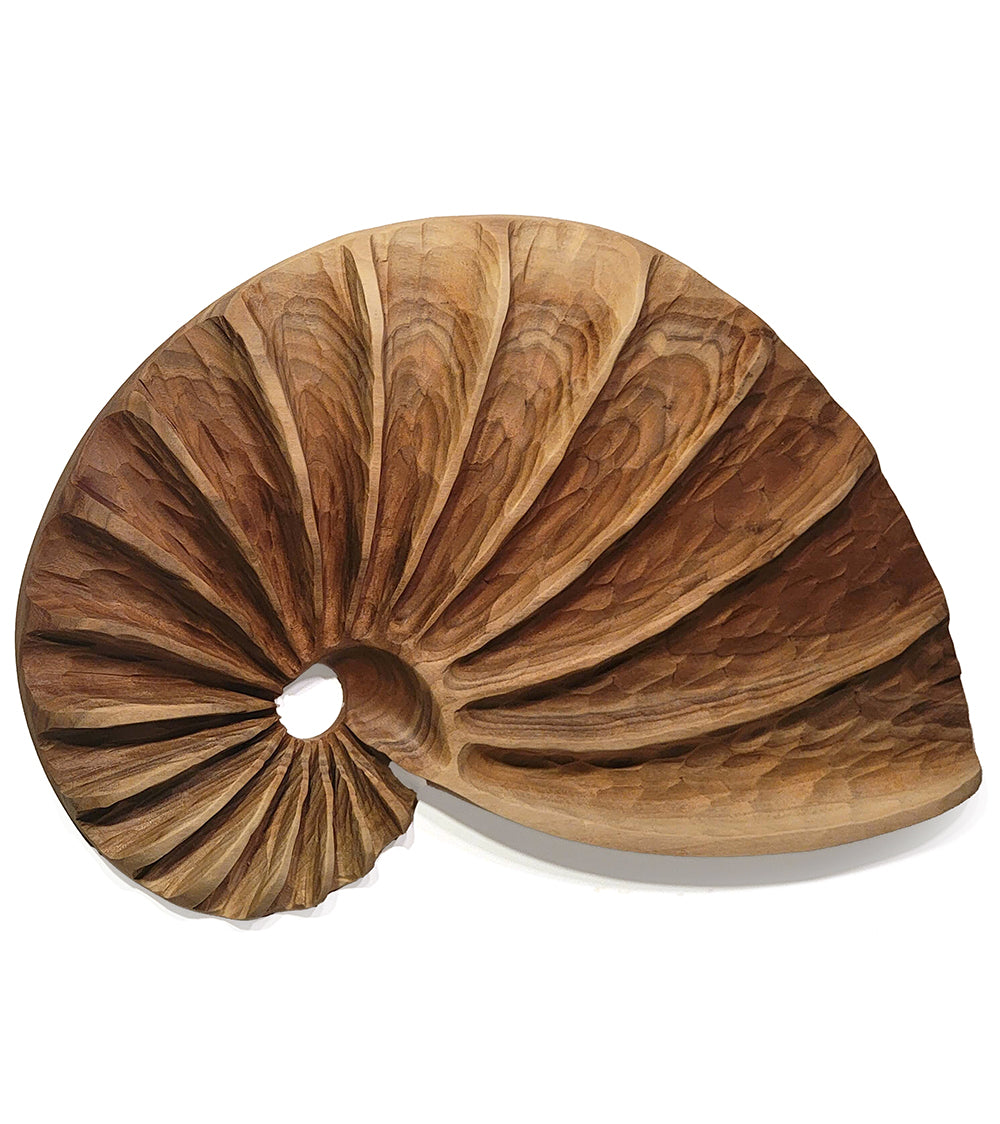 Wall Sculpture "Bleached Walnut Fibonacci Shell" by Andy DiPietro