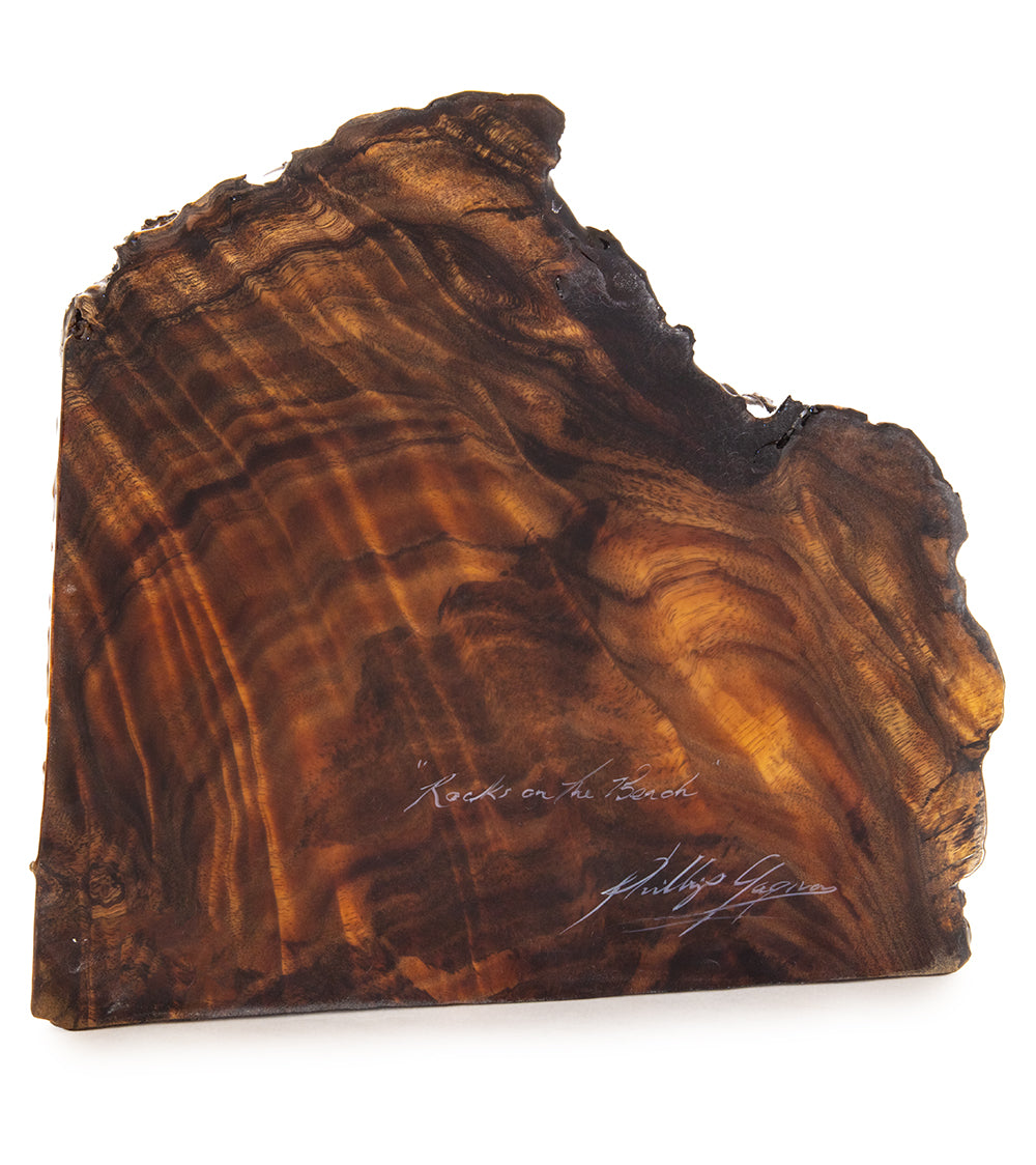 Original Painting on Koa "Rocks on the beach" by Philip Gagnon 10x12