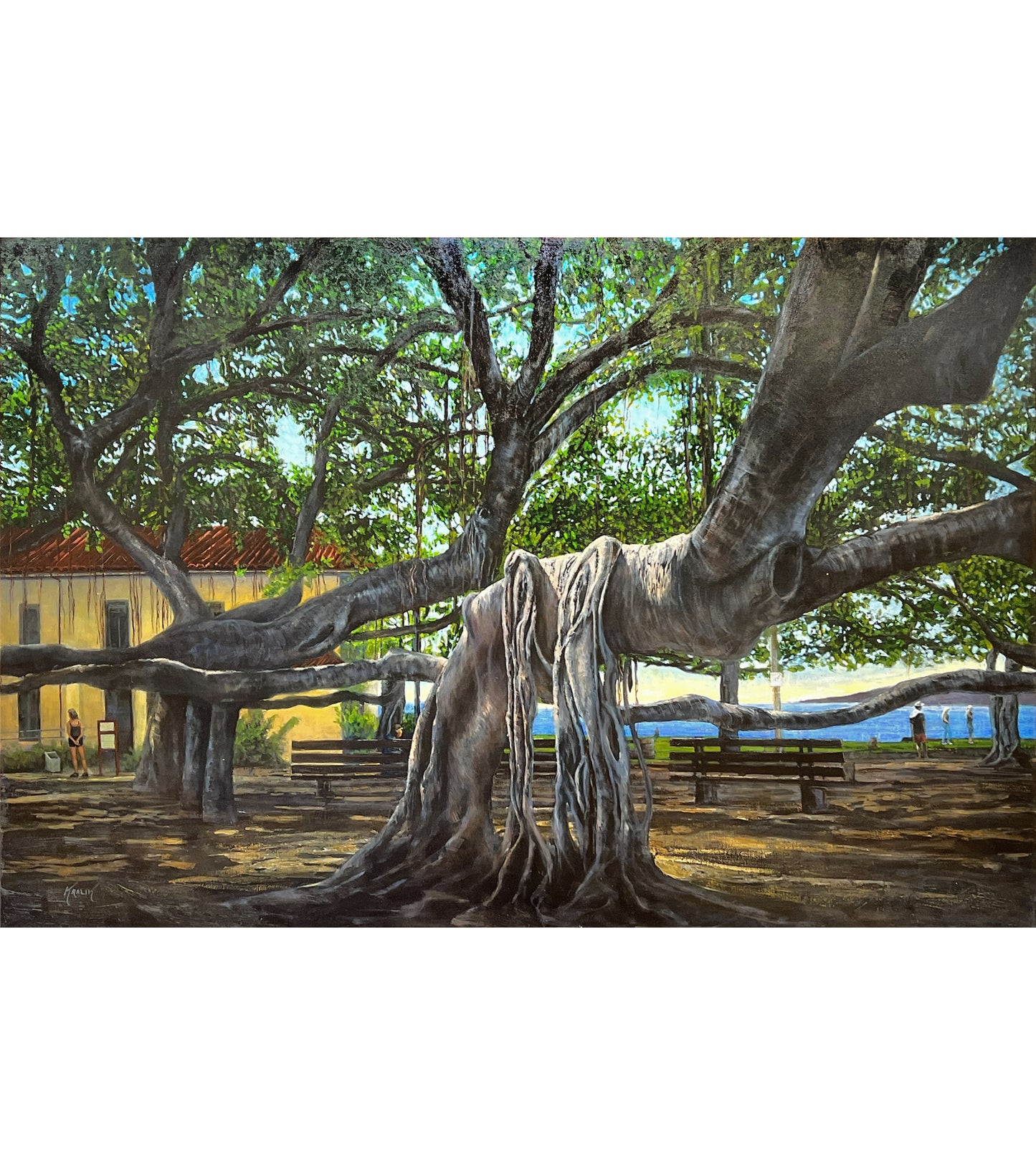 Lahaina Banyan de Brandon Kralik