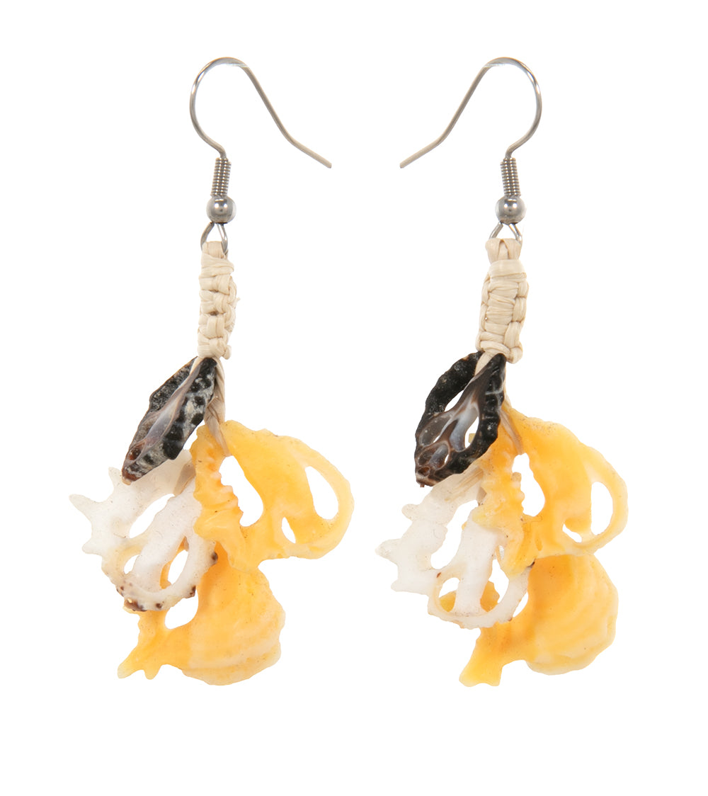 Sliced Shell Earrings