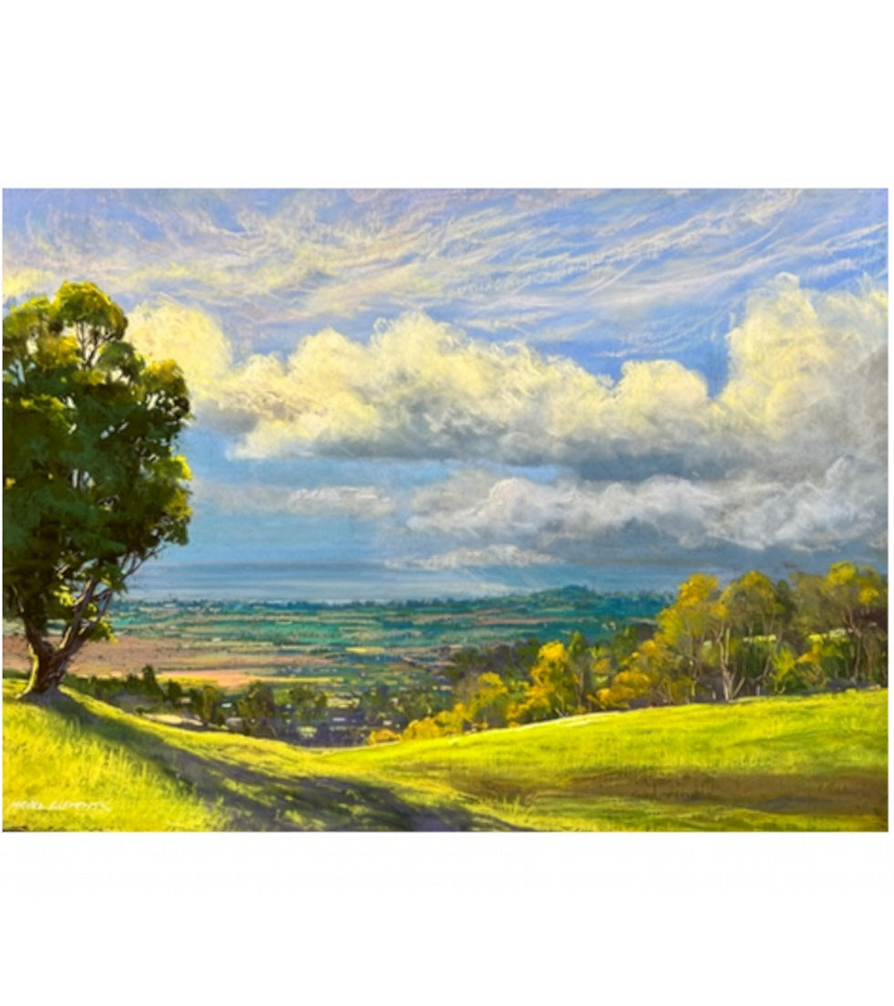 Original Pastel Painting " Pasture View of North Shore" by Michael Clements 27x20