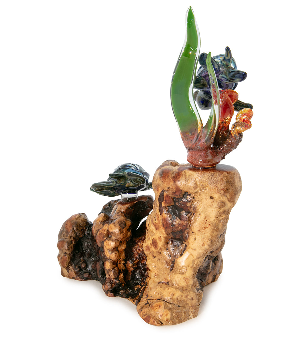 Glass and Wood Sculpture "Coral with Two Turtles" by Luke Olsen
