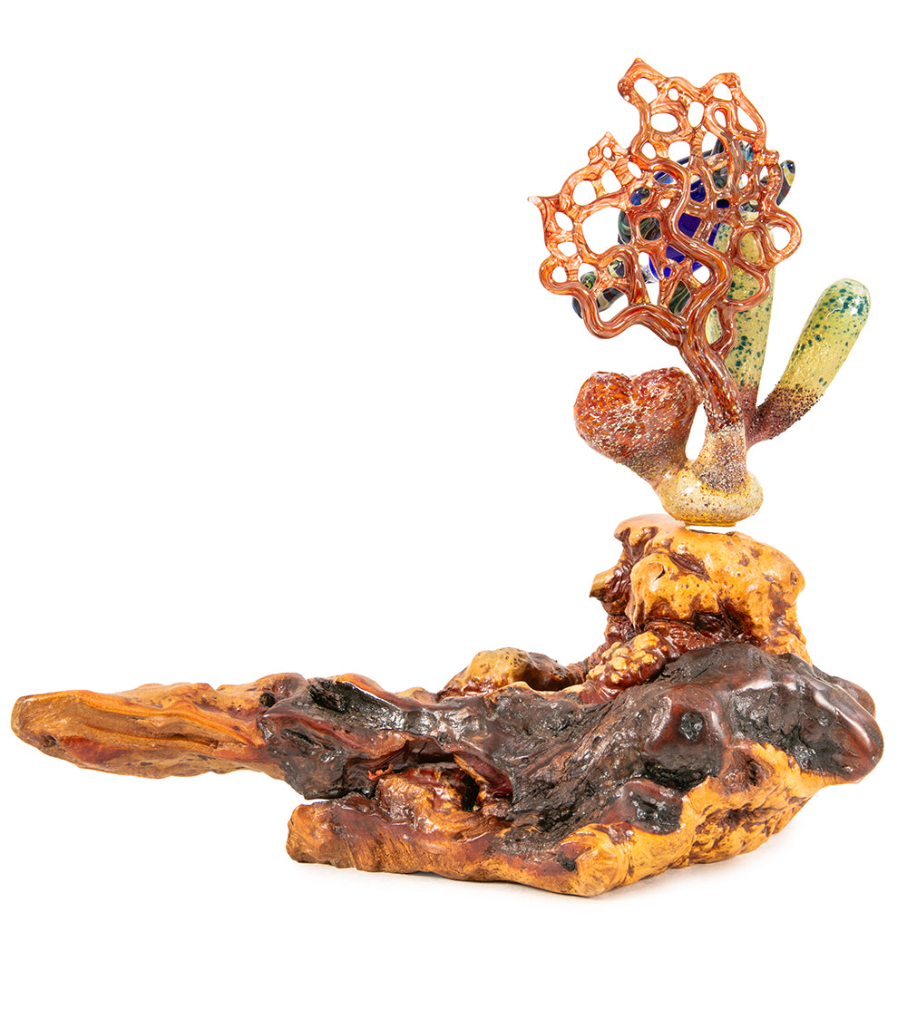 Escultura de vidrio "Dos tiburones martillo y coral" de Luke Olsen