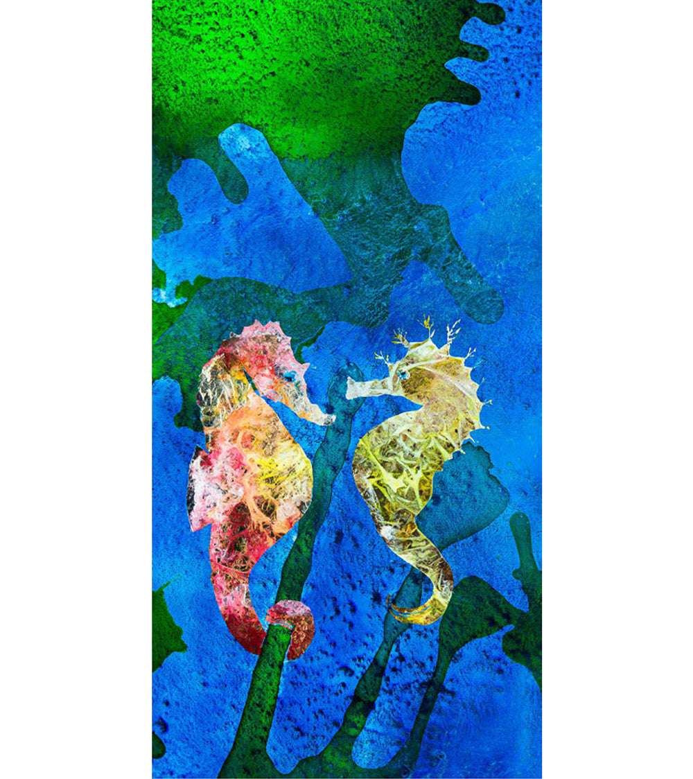 Limited Edition Acrylic Print "Sea Secrets" by Josh Serafin