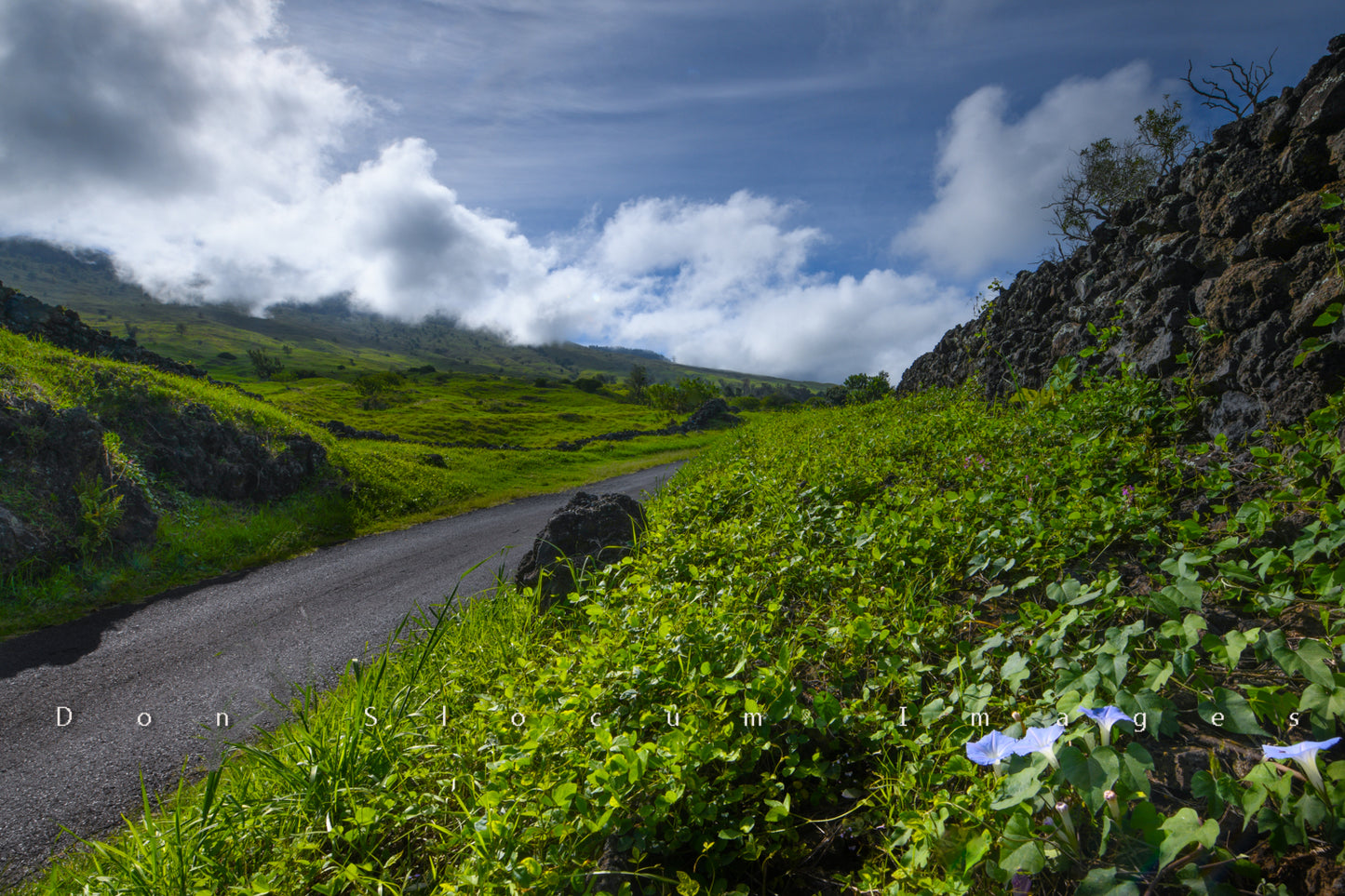 ドン・スローカム著『Kula』