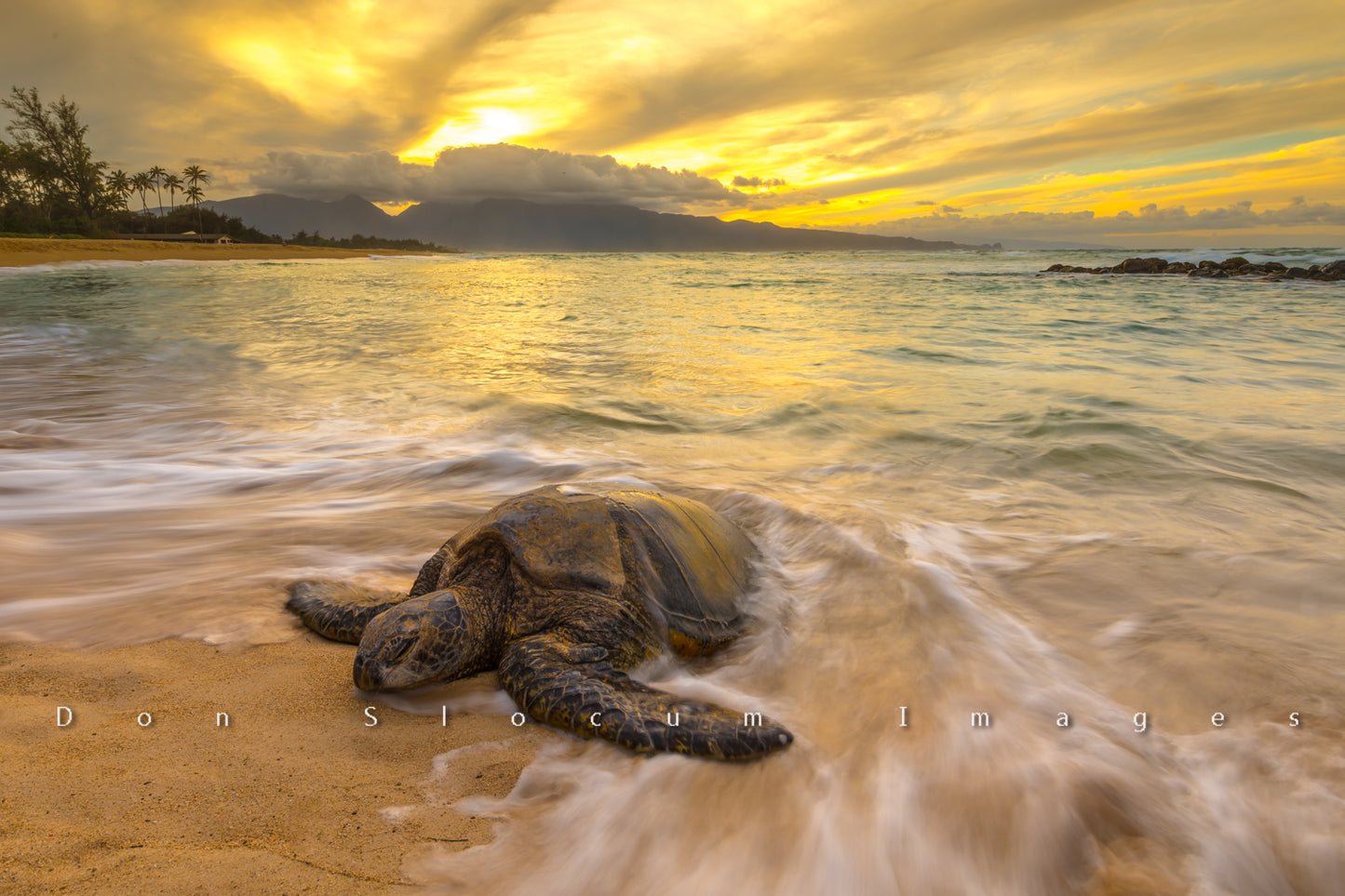Surf It by Don Slocum