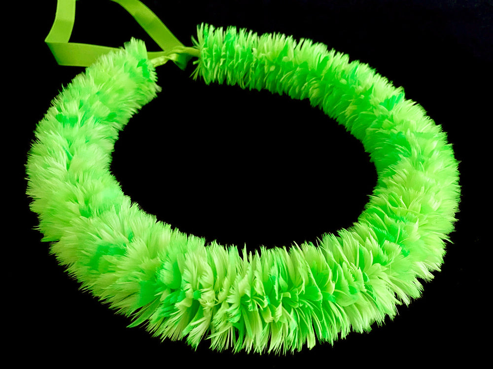 Melodía de primavera Poepoe #24732