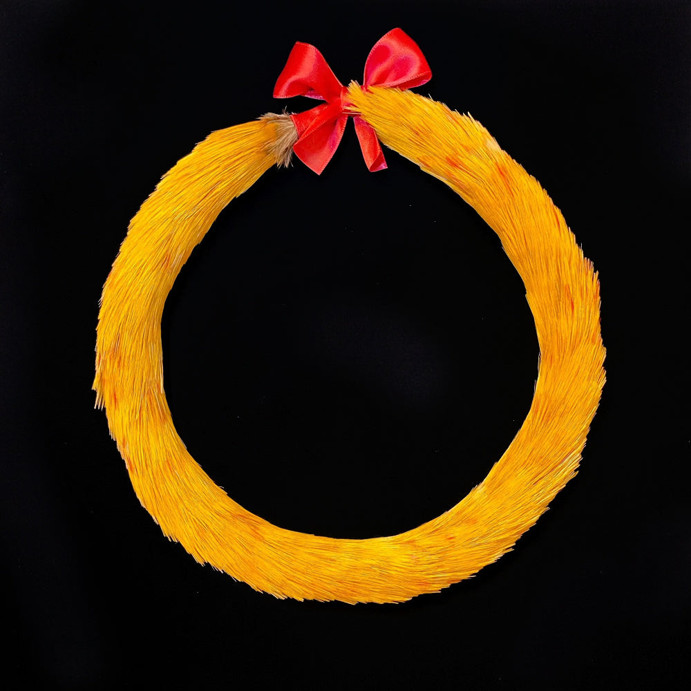 Leihulu kamoe second no.5（yellow） Golden Pheasant Kamoe #24370 – Martin & MacArthur