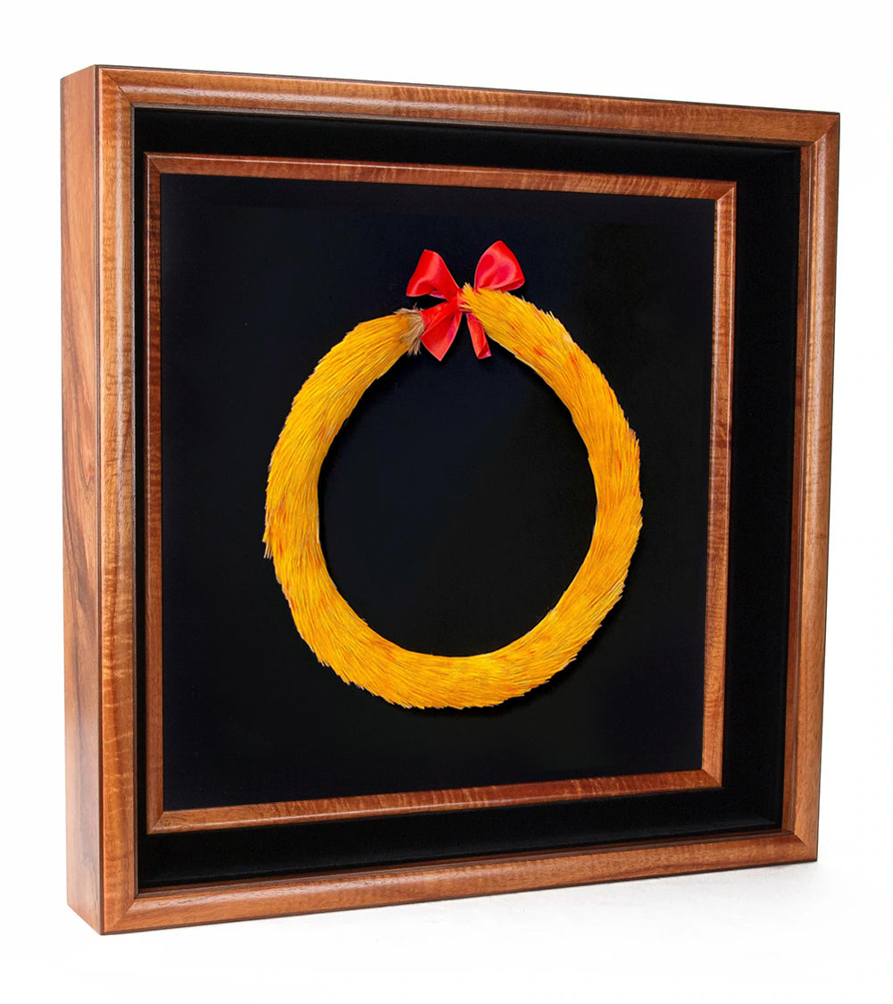 Faisán dorado Kamoe #24370