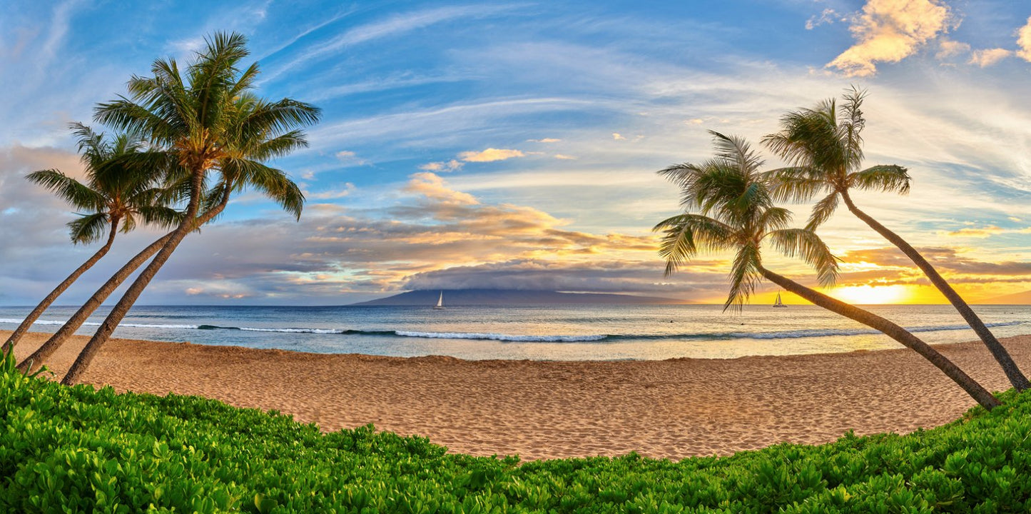 Ka’anapali Grande by Andrew Shoemaker