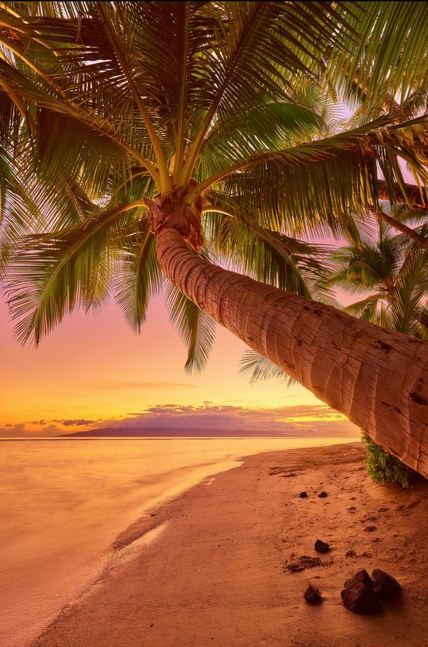 Lahaina Time by Andrew Shoemaker