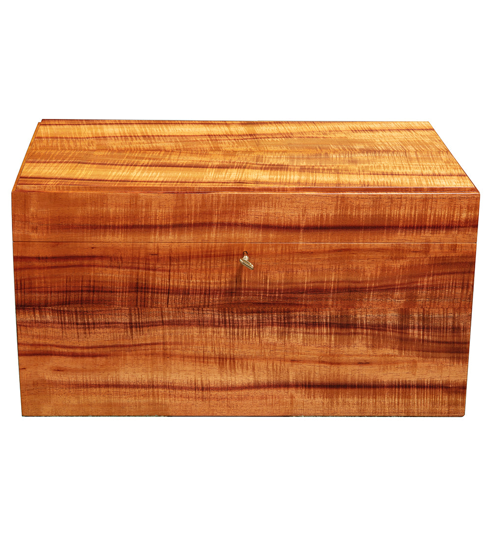 コアホエラーズトランク