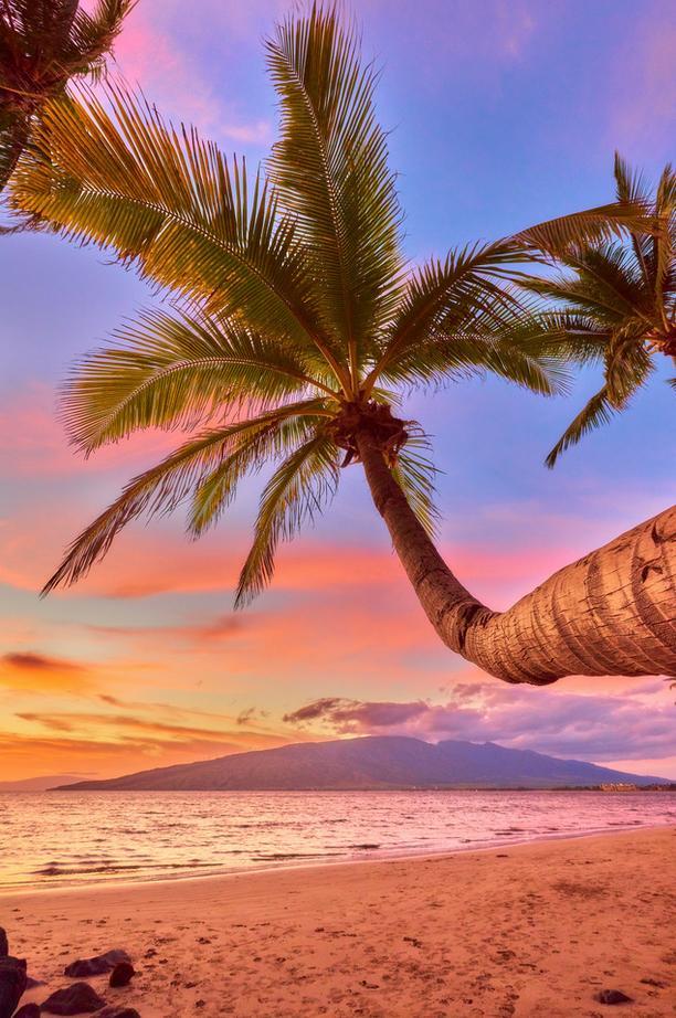Maui Namaste por Andrew Shoemaker