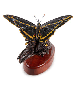 Wood Sculpture "Giant Swallowtail Butterfly #43" by Craig Nichols