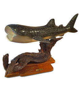 Koa Wood Sculpture "Whale Shark"