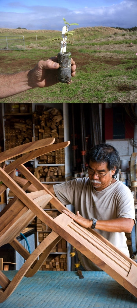 The History of Hawaiian Koa Wood: A True Story