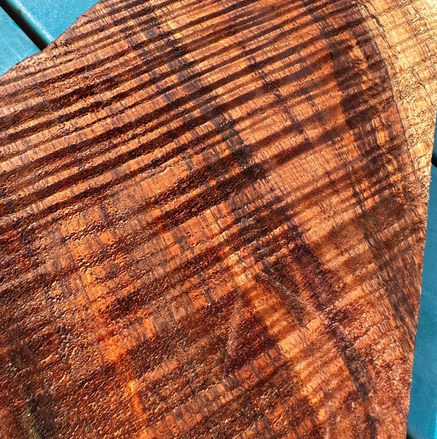 What Are the Different Types of Curly Koa?