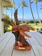 Why Is Koa Wood Special? The Story Behind Hawaii's Most Treasured Tree