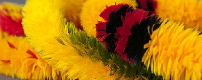 Feather Lei