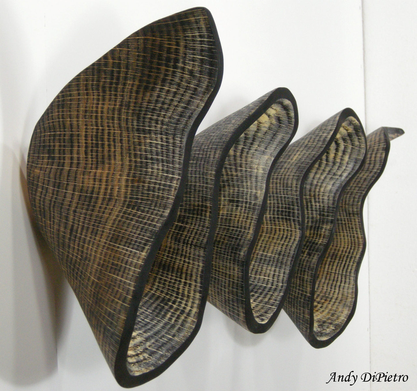 Escultura de pared "Concha de Fibonacci y Ambrosía" de Andy DiPietro