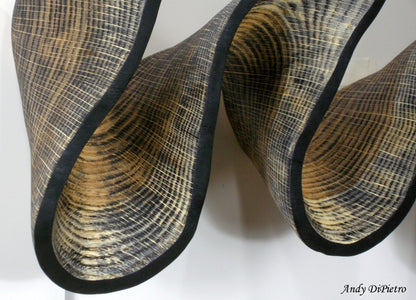 Escultura de pared "Concha de Fibonacci y Ambrosía" de Andy DiPietro