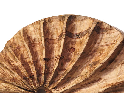 Escultura de pared "Concha de Fibonacci y Ambrosía" de Andy DiPietro