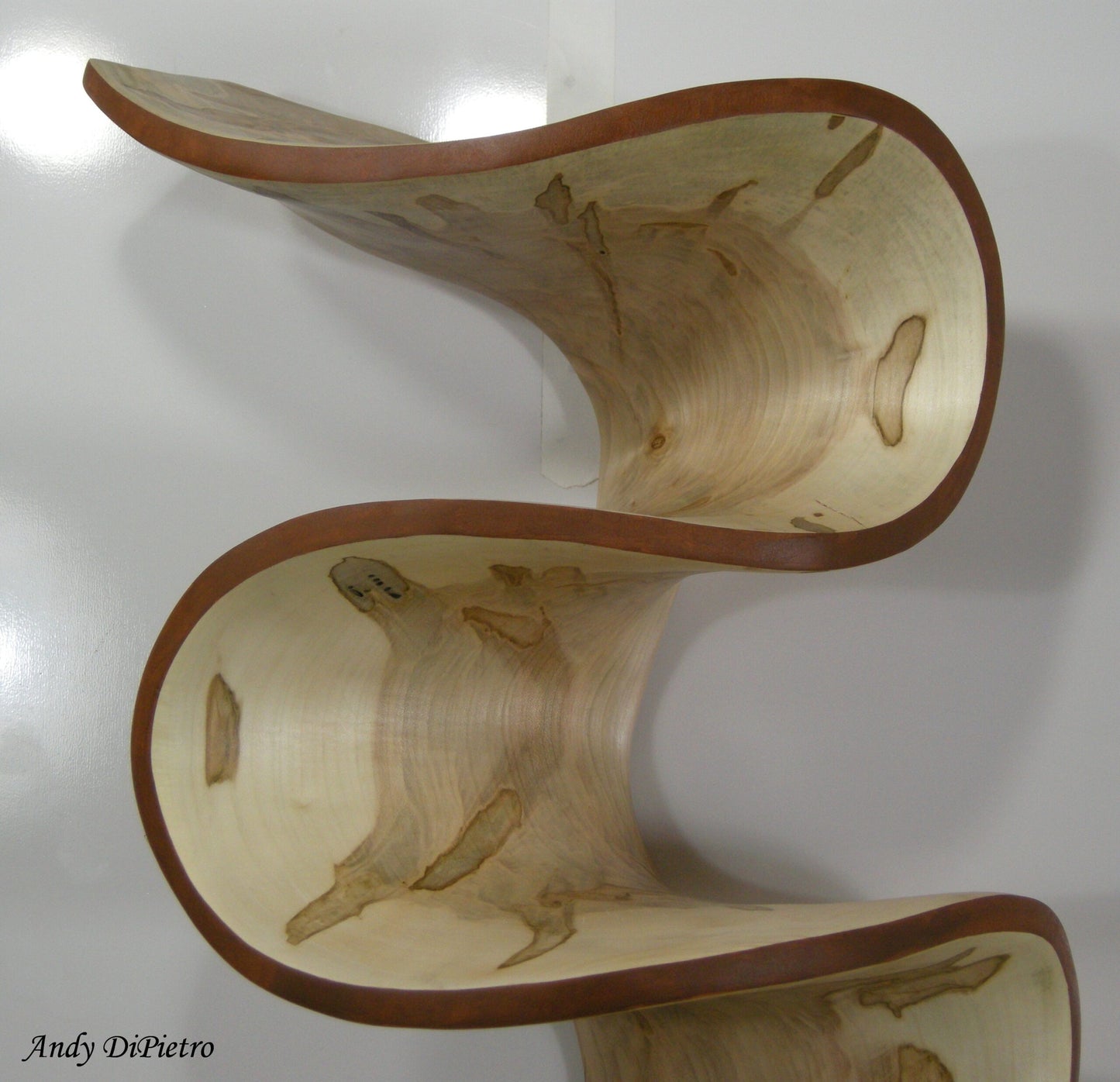 Escultura de pared "Concha de Fibonacci y Ambrosía" de Andy DiPietro