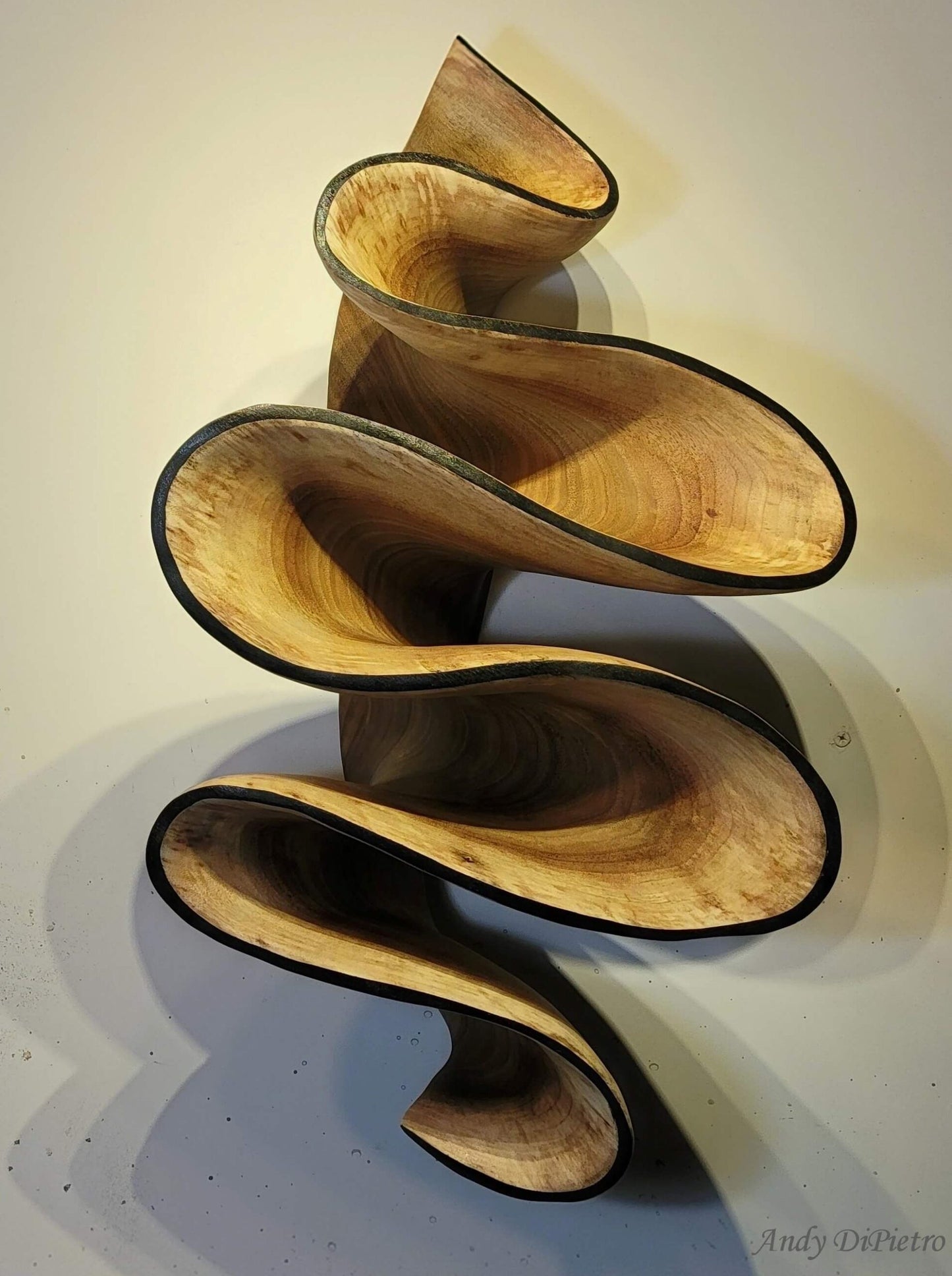 Carved Sculpture "Walnut Ribbon" by Andy DiPietro