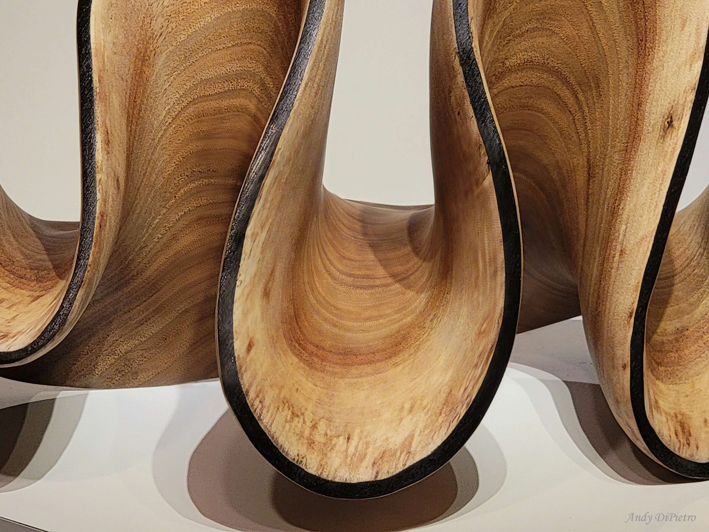 Carved Sculpture "Walnut Ribbon" by Andy DiPietro