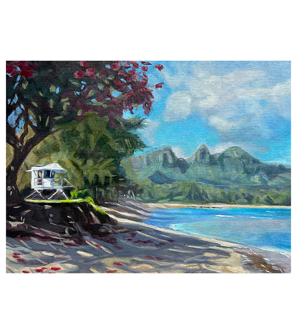 Playa de Anahola por Laurie Miller