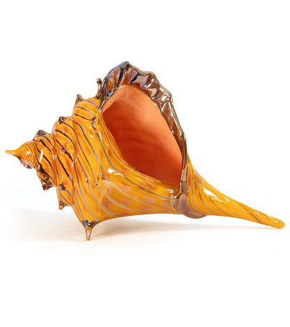 Glass Sculpture "Conch Shell Coral" by Ben Silver