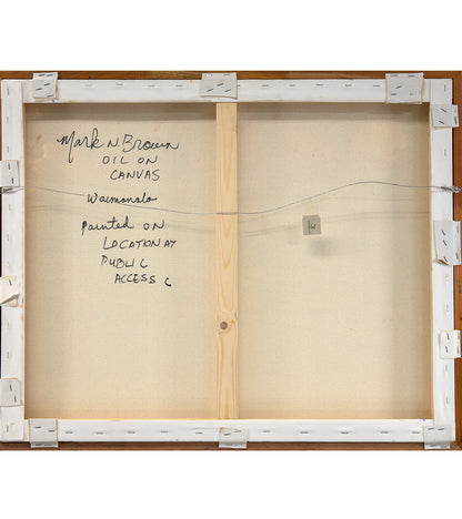 マーク・ブラウン著『キヘイのワヒネ・パドラーズ』