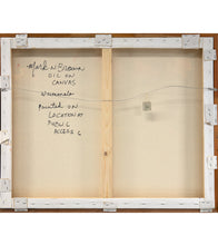 マーク・ブラウン著『キヘイのワヒネ・パドラーズ』