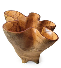 Carved Vessel "Canyon Flower III" by Andy DiPietro