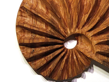 Escultura de pared "Espiral de ambrosía" de Andy DiPietro