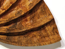 Wall Sculpture "Ambrosia Spiral" by Andy DiPietro