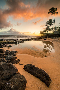 Soft Touch by Don Slocum