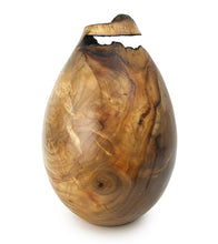 Jarrón de alcanfor rojo "Serie Droplet #2502" de Dan Stevenson