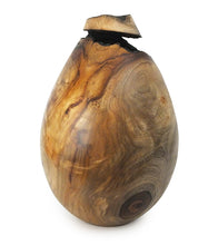 Jarrón de alcanfor rojo "Serie Droplet #2502" de Dan Stevenson