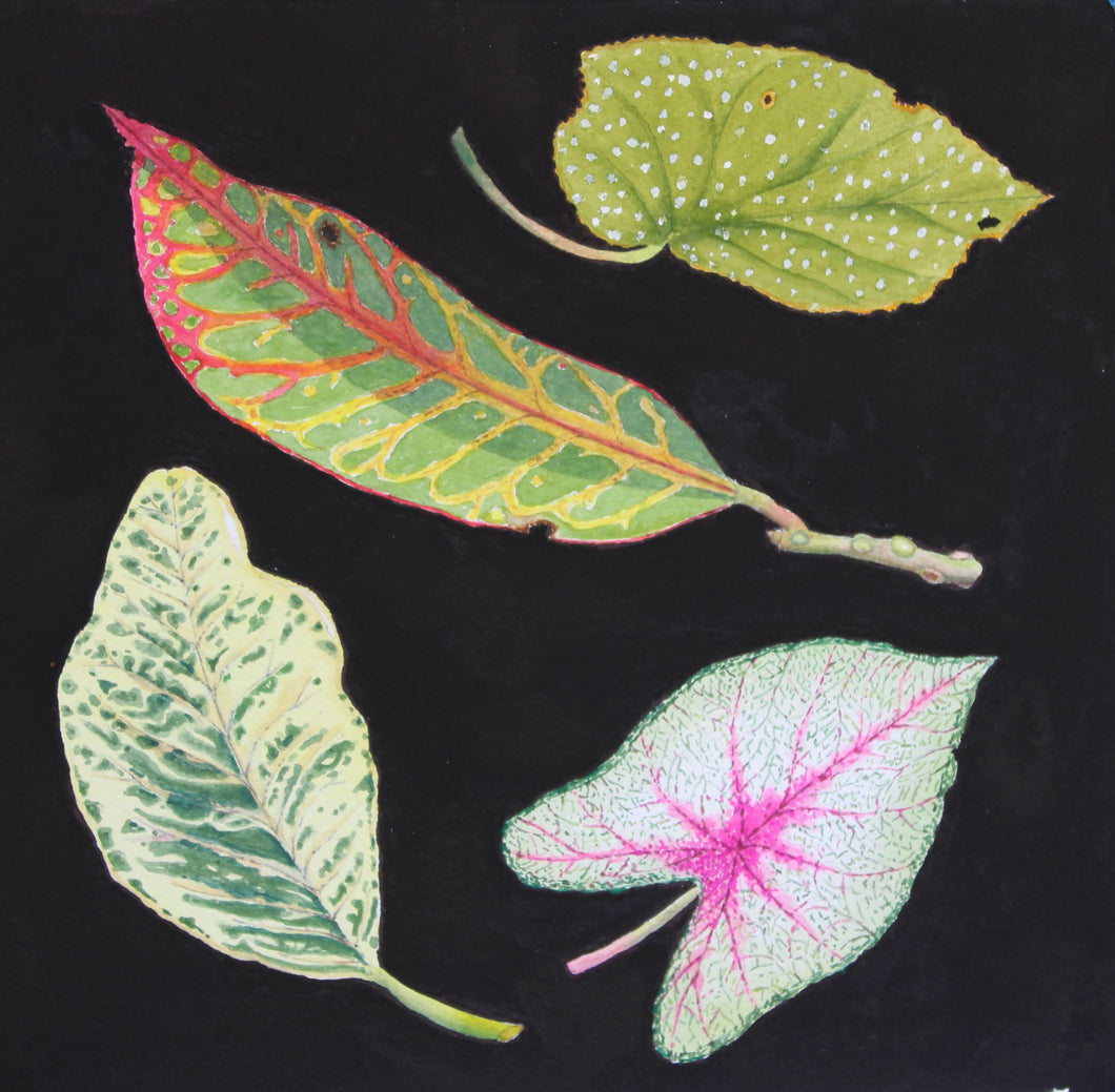 Four Tropical Leaves by Elizabeth Keller