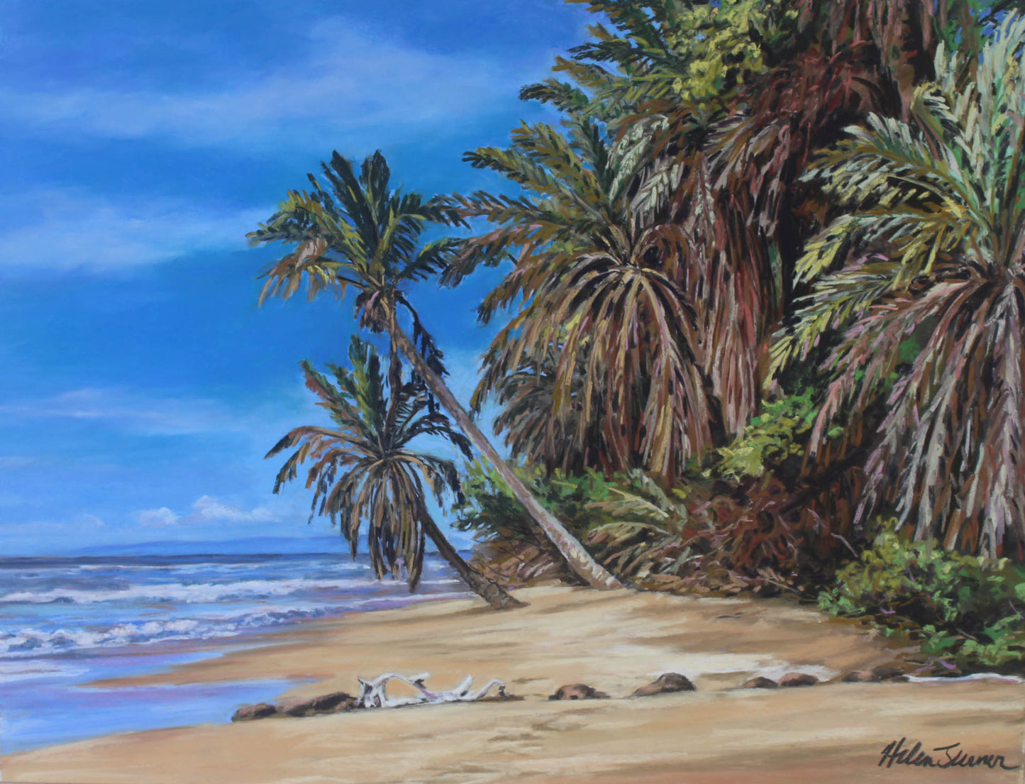 La costa olvidada de Helen Turner