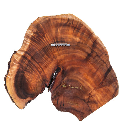 Pintura original sobre koa "Aquí viene el sol" de Philip Gagnon 15 x 14