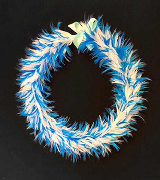 Aqua Poepoe feroz #39434