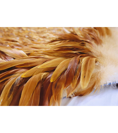 豊穣、豊かな恵み - フェザーケープ