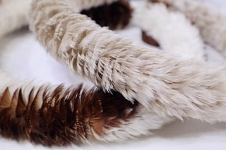 静謐な輝き、インドガン - フェザーレイ ポエポエ