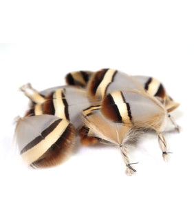 縁起を守る羽根エプロン