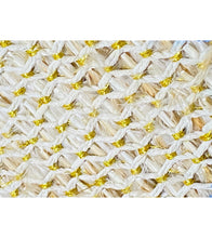 Harvest, Bountiful Blessings - Feather Cape