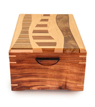 Kinsey Gentle Currents 1 caja